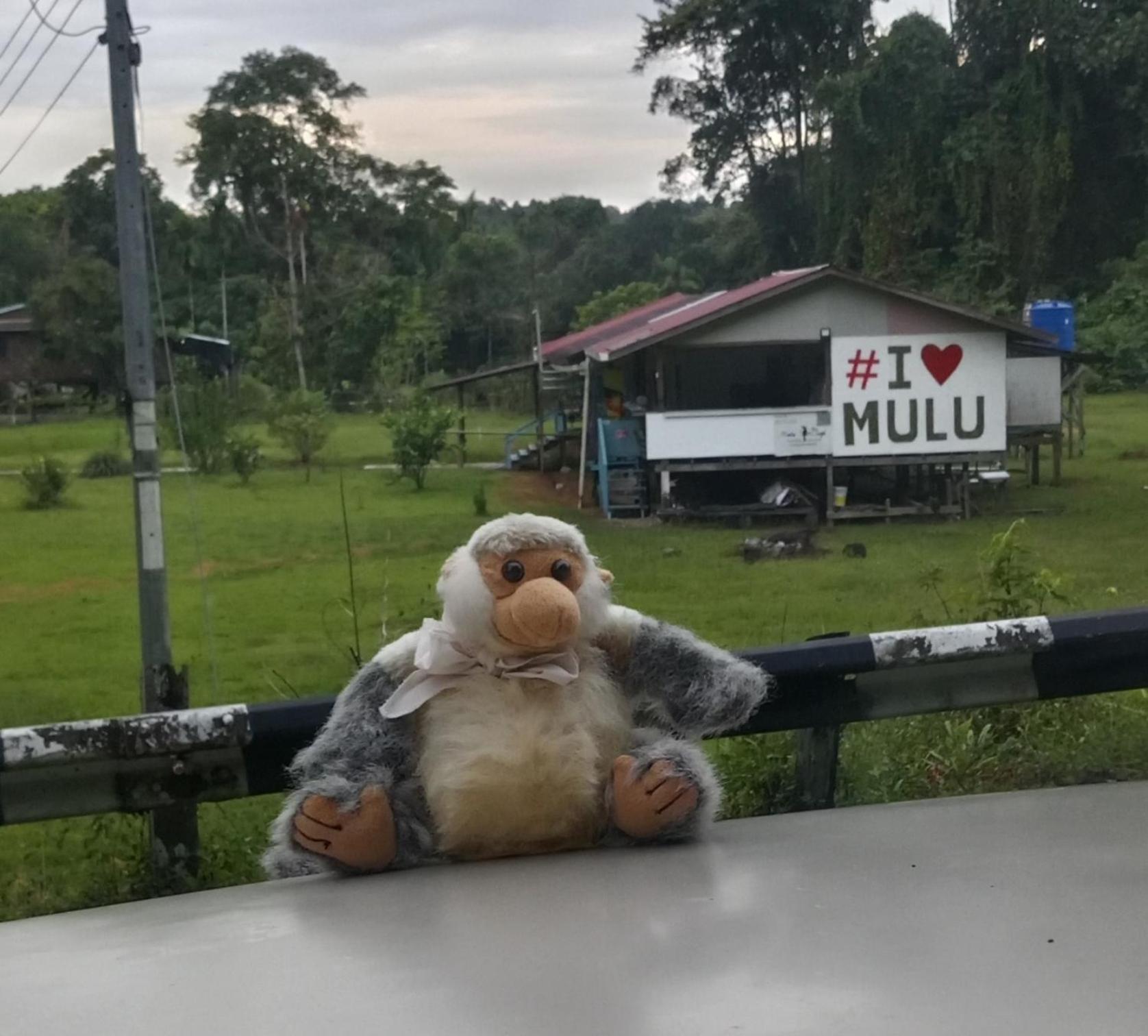 Mulu Village Экстерьер фото